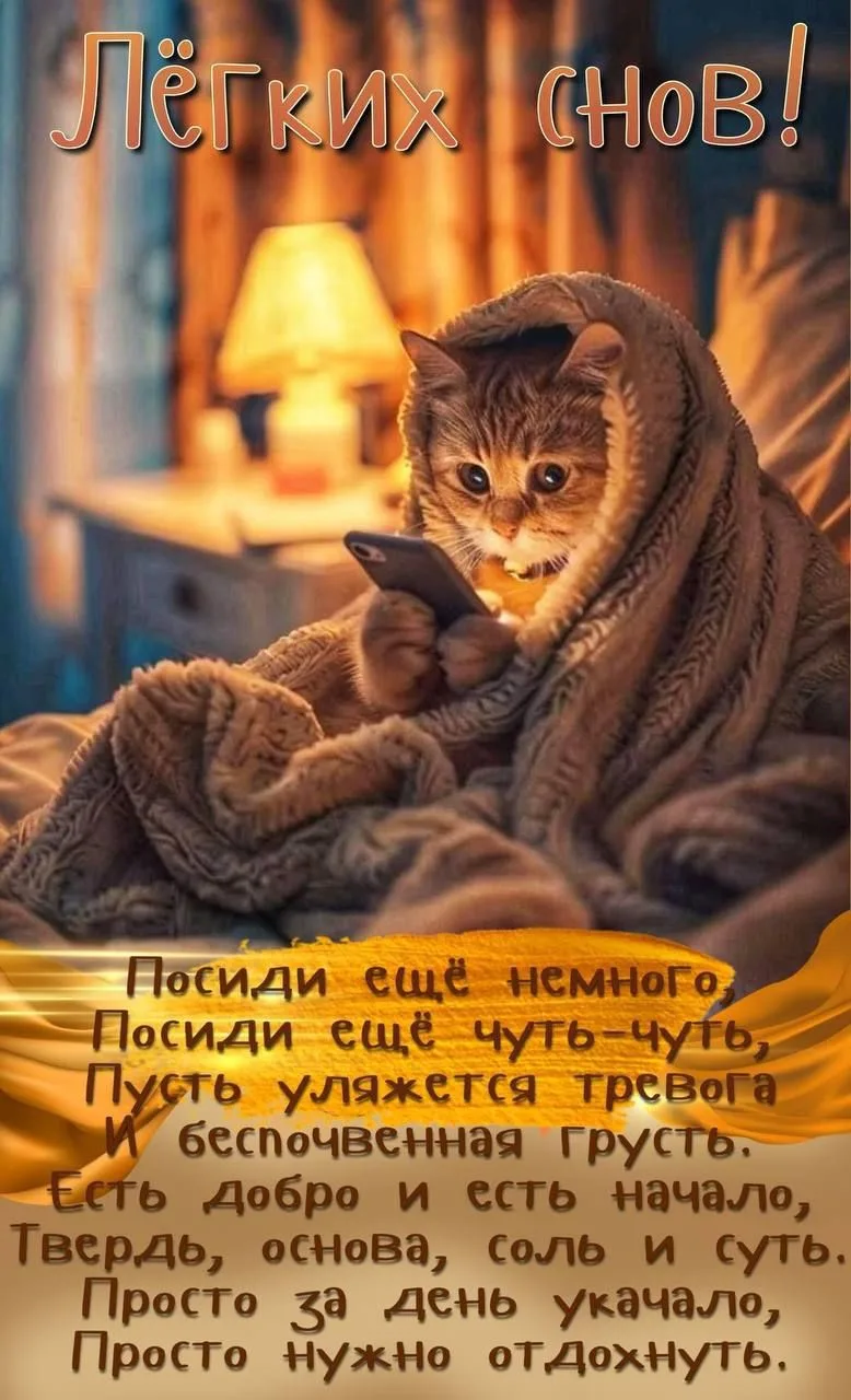 Доброй ночи, друзья!🌙