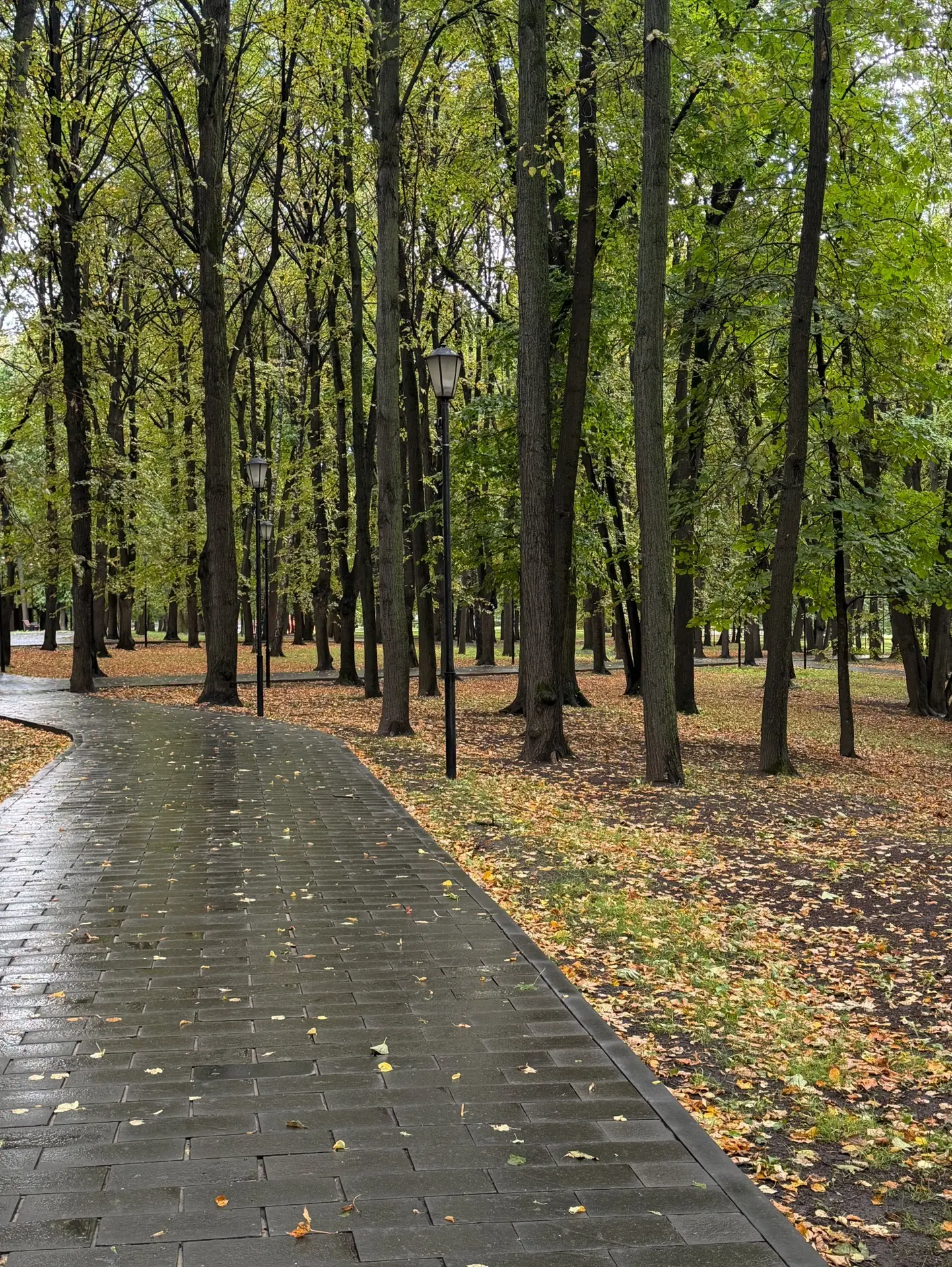 🍁🍂🤎