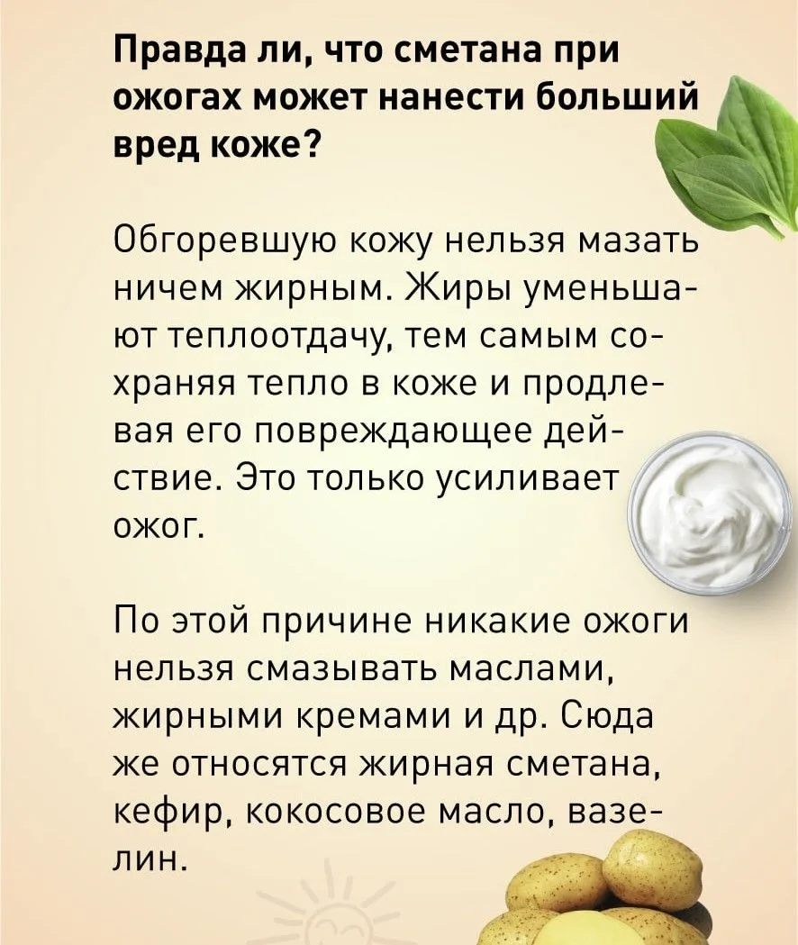 Сметана, чайный гриб, сырой картофель, кокосовое масло, лопух и подорожник – чем только...
