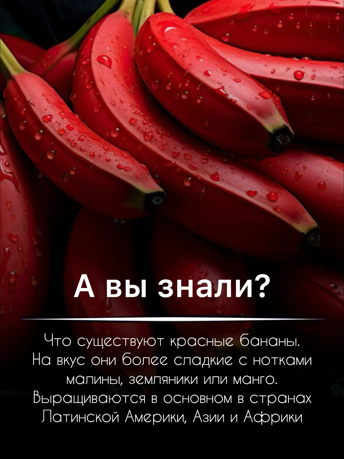 А ВЫ ЗНАЛИ? 😱