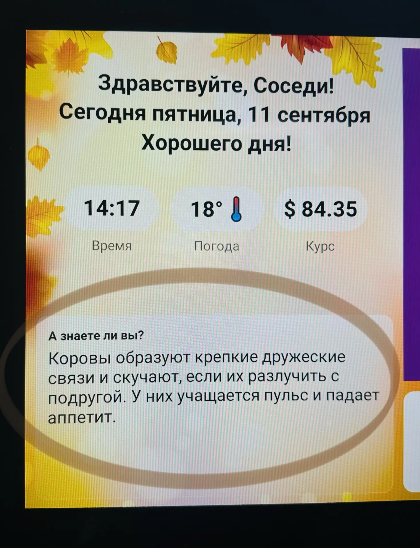 В нашем лифте каждый день пишут важные новости для соседей