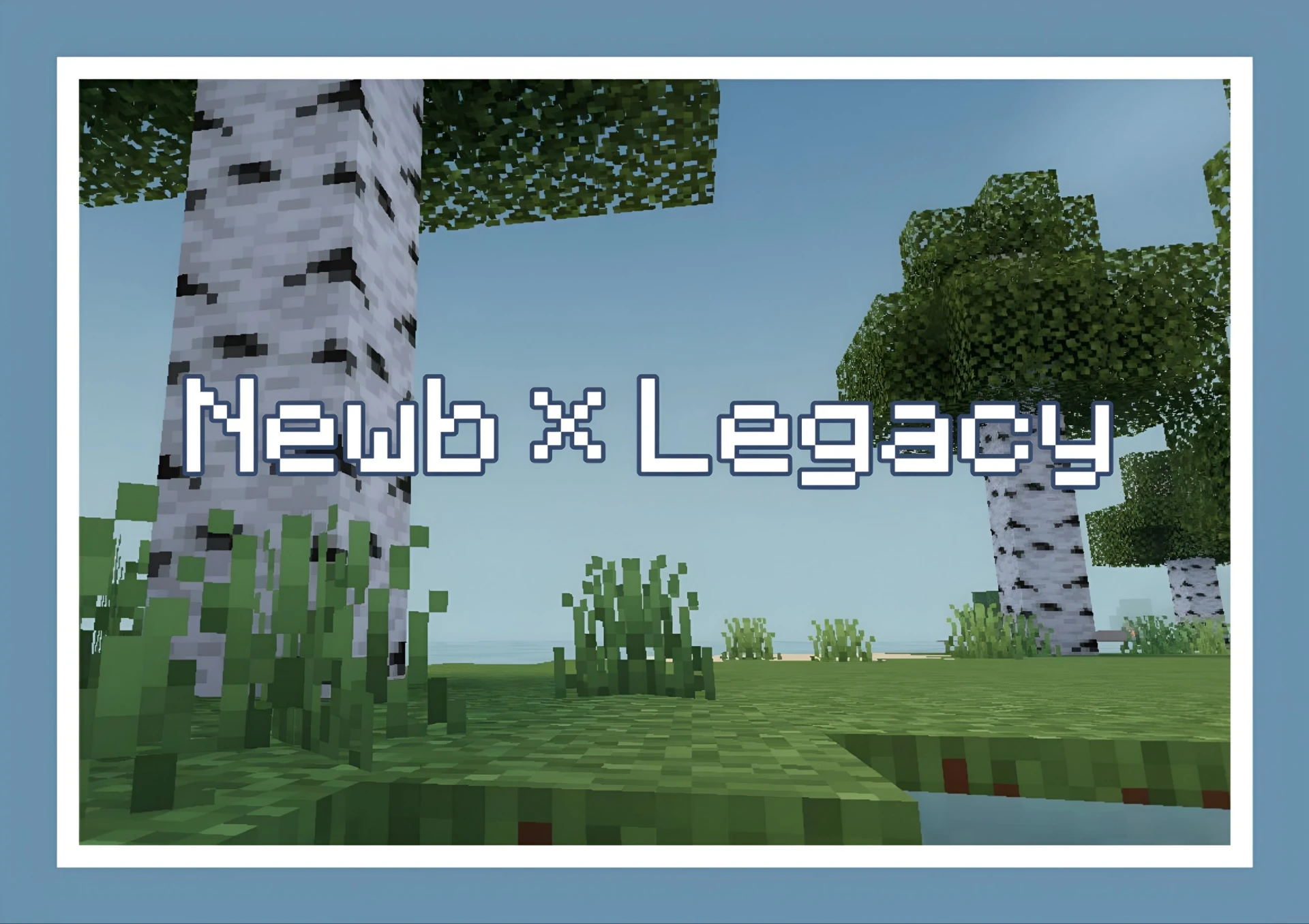 NEWB X LEGACY