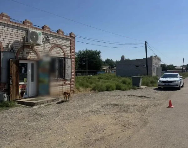 Сегодня, 17 июля, в Астраханской области водитель сбил маму с малышом и сбежал.