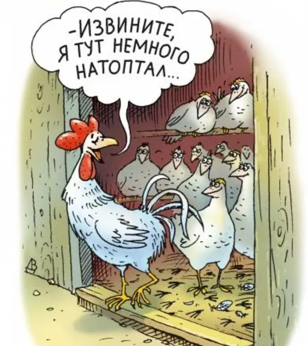 У хохлов жизнь, как в курятнике!