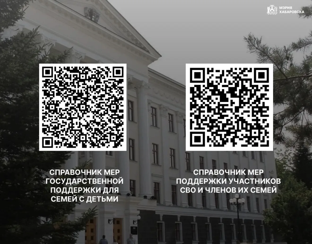 Министерство социальной защиты Хабаровского края разработало справочник мер государстве...