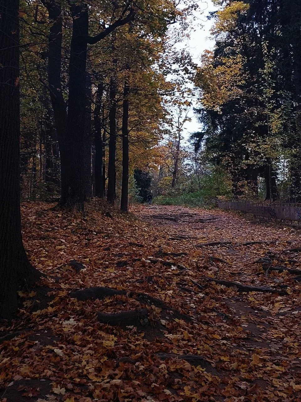 Октябрьский вечер 🍂🍂🍂