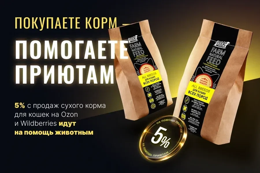Мы запустили социальный проект #BuddyDinnerЗабота  Как это работает:  1. Вы покупаете корм для кошек