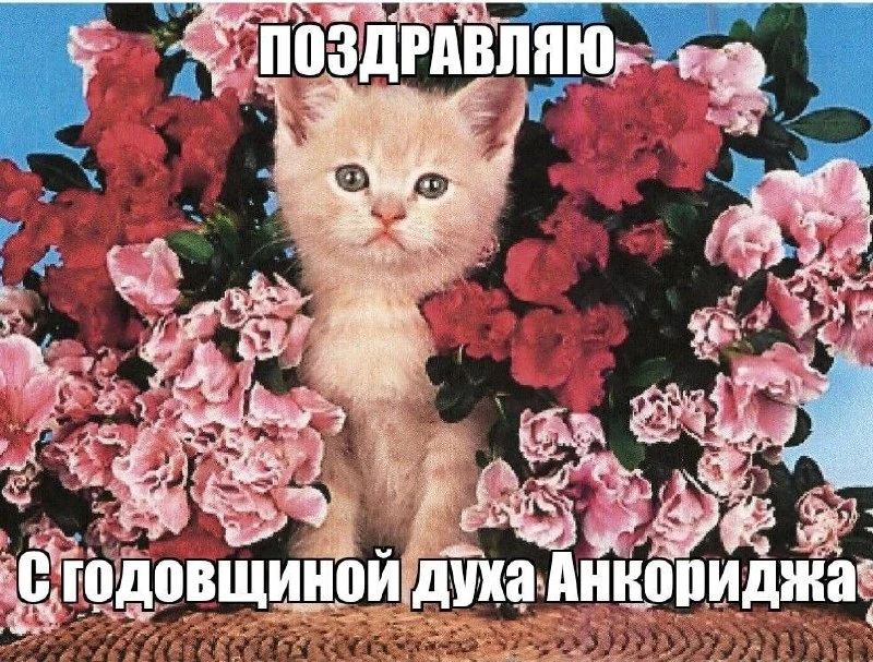 Шлосбергу (иноагент) дали так много потому что будут менять. Чем дольше срок у меняемог...