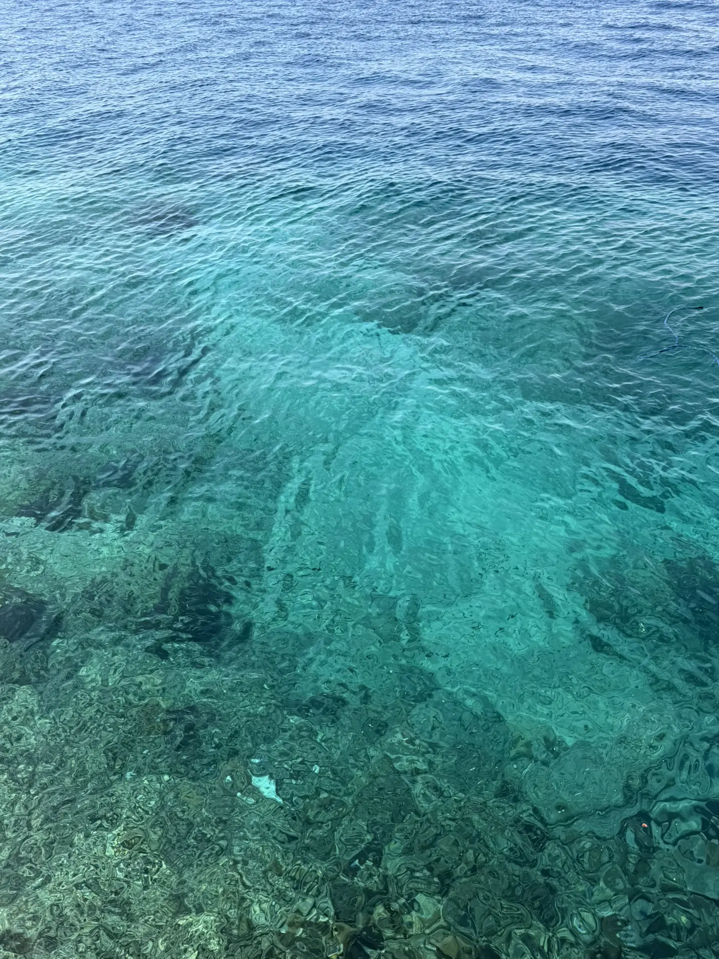 Море в Египте - самое чистое и самое соленое море в мире✅