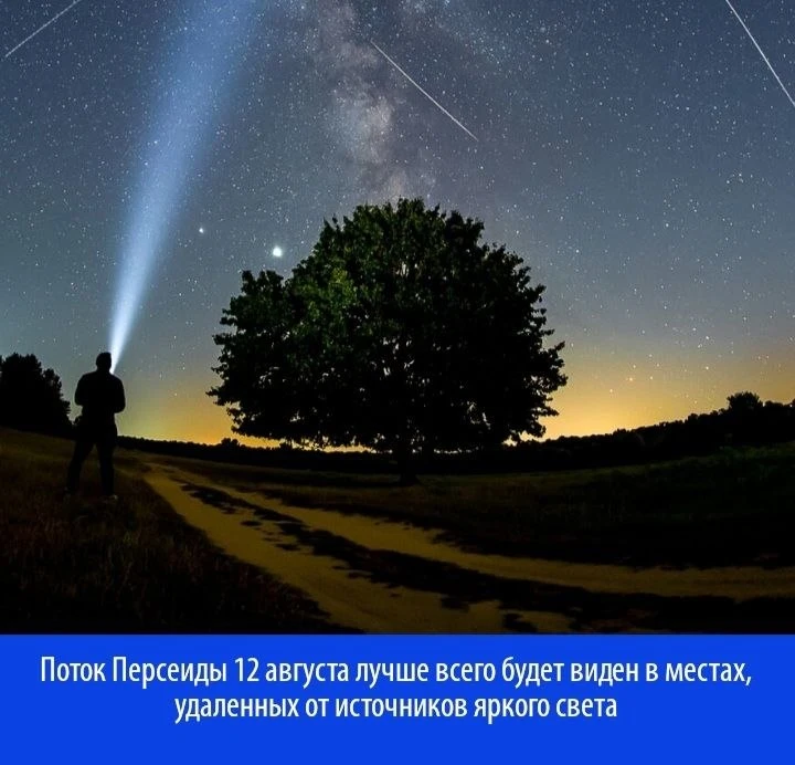 Поток Персеиды 12 августа лучше всего будет виден в местах, удаленных от источников яркого света. 

