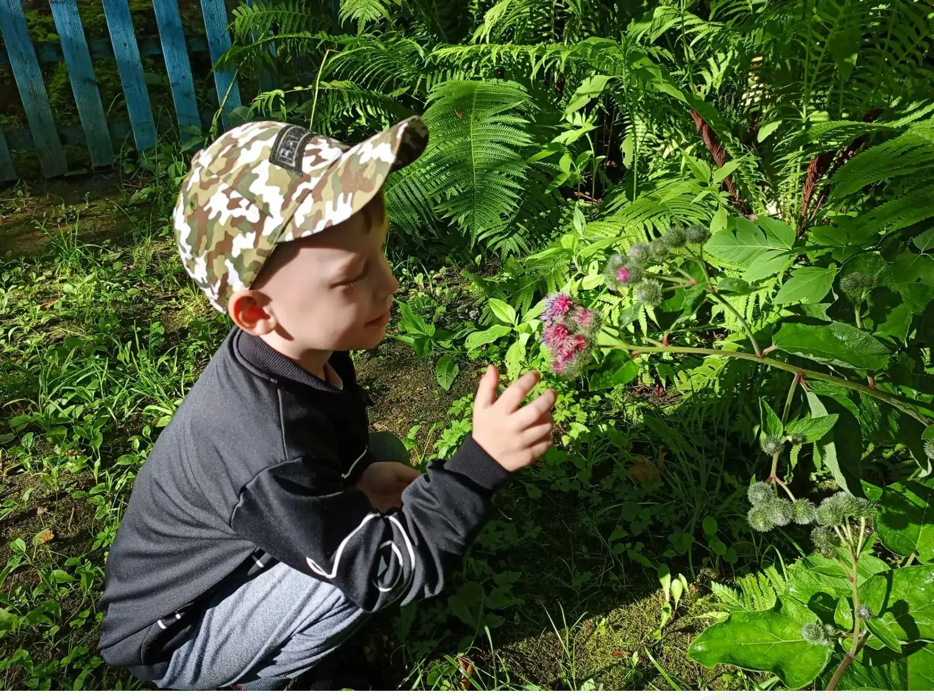 🔎Неизведанное рядом

🌿Летняя  прогулка  - это время открытий. И на этой неделе, во время прогулок 