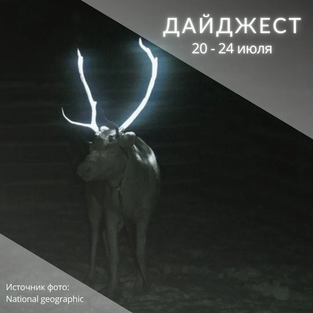 🌍 МЭА прогнозирует рост мирового спроса на электроэнергию на 3,6% в 2026 году