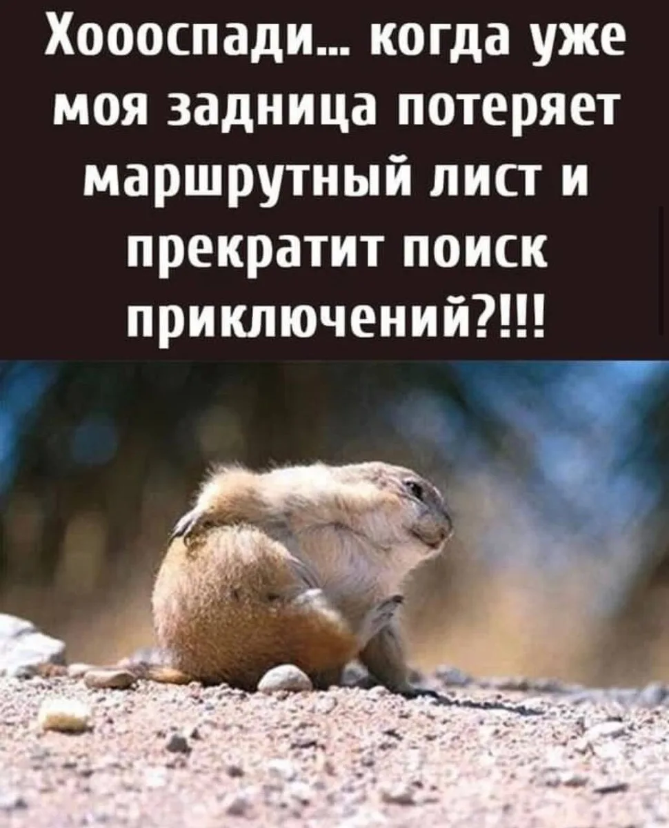 👉открытки👈