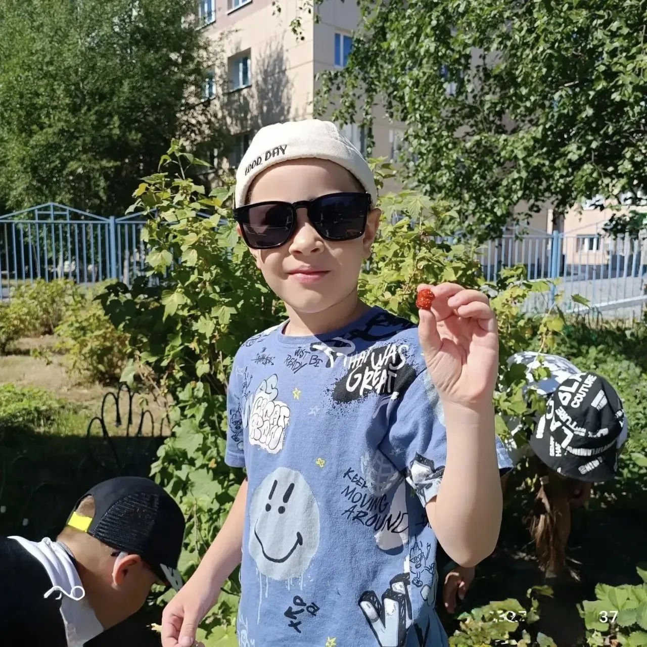 🎉 «Эколята‑дошколята» МБДОУ «Дюймовочка» собрали урожай клубники! 🍓🍓🍓