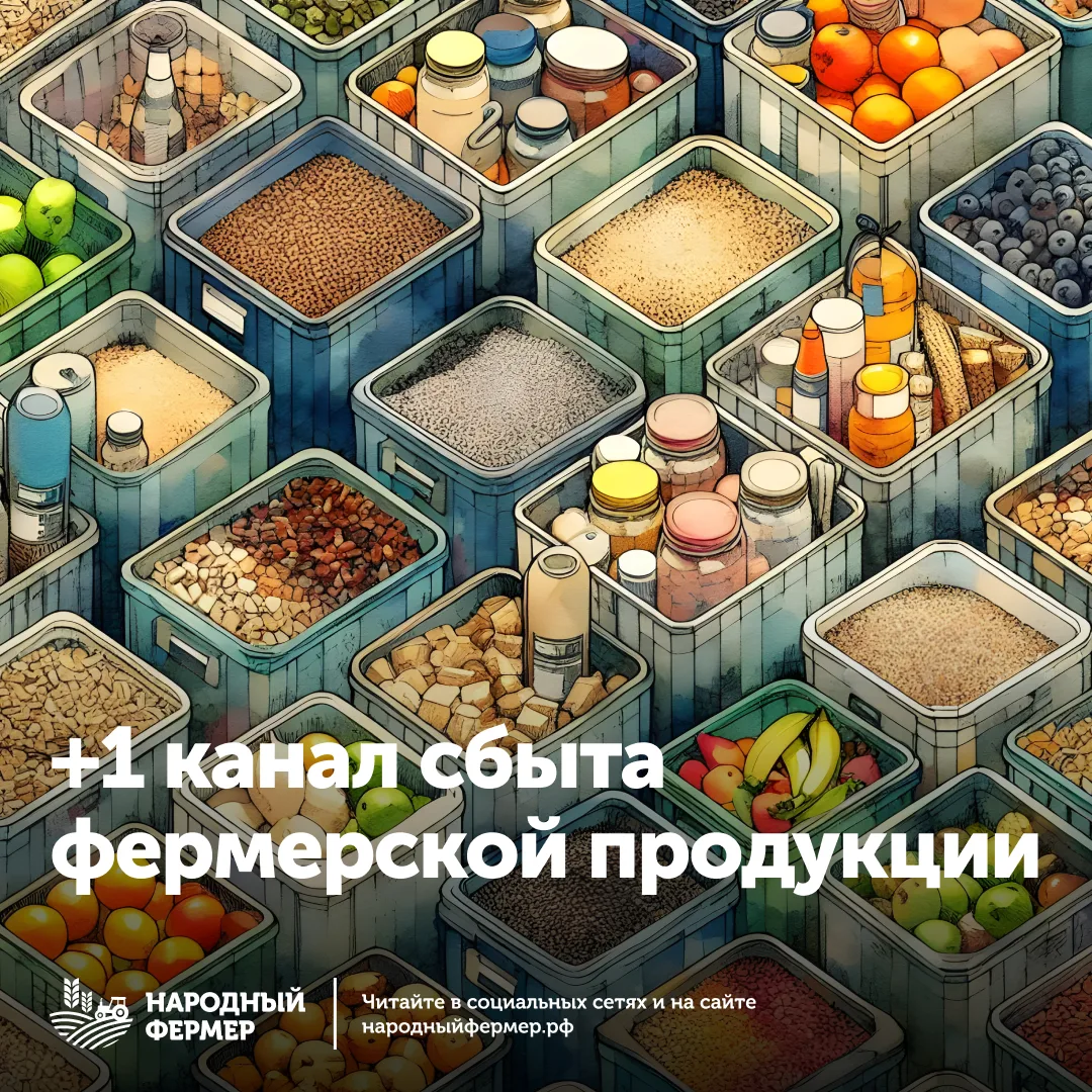 🛍 Рассказываем про +1 канал сбыта фермерской продукции