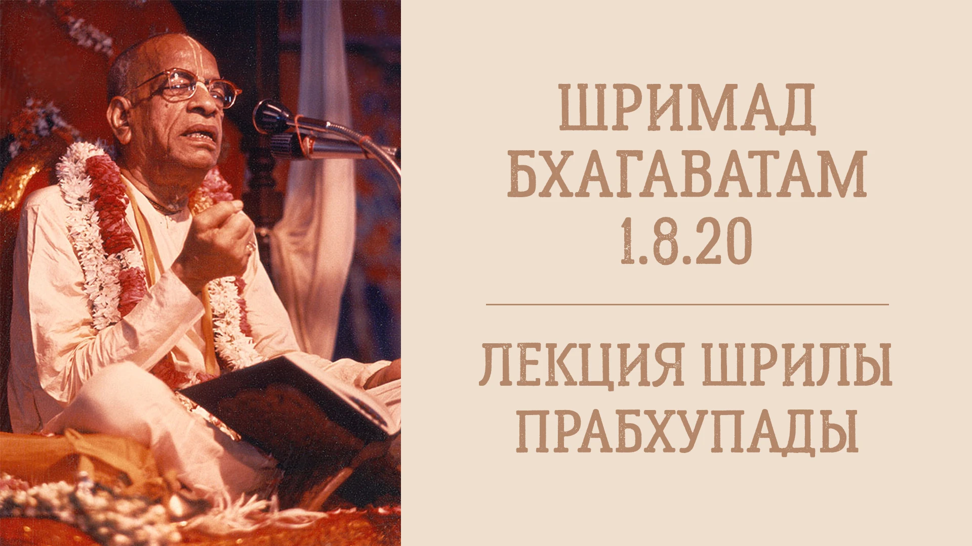 📖 Утренняя лекция