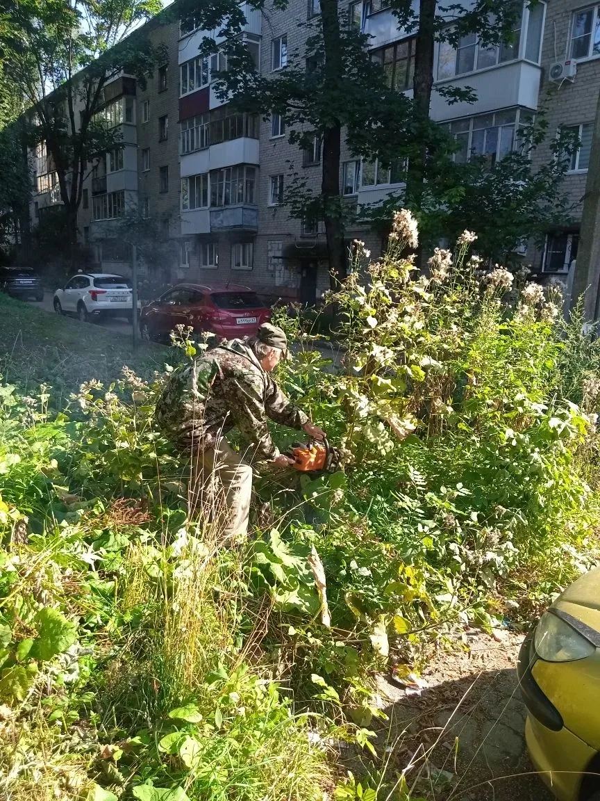 🌳 Продолжаем наводить порядок во дворах!