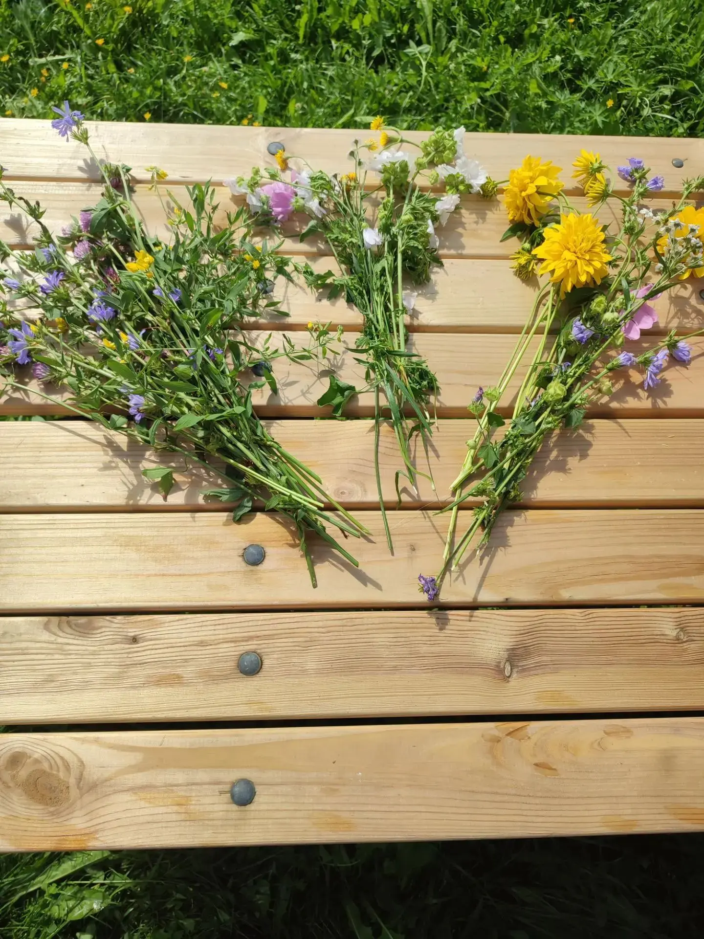 💐24 июля — День флориста! 💐