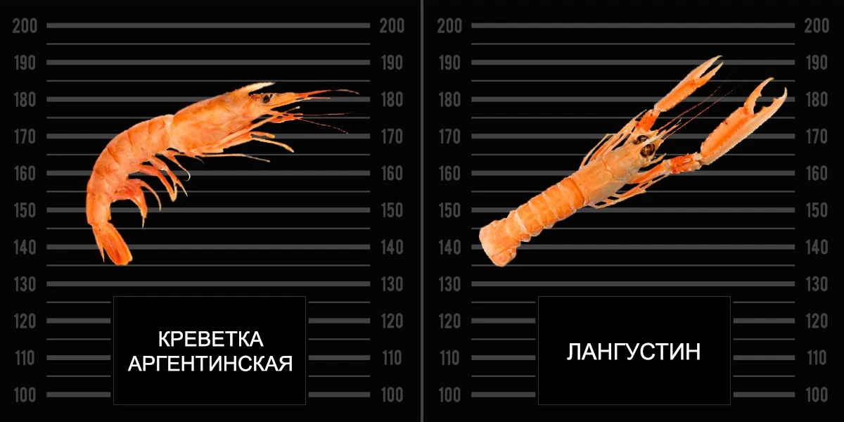 Из рубрики «Граждане, будьте бдительны!». Нынче в московских ресторанных меню часто можно встретить 