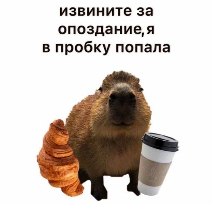 Почему туляки опаздывают на работу?

Большинство жителей Тулы (77%) утверждают, что всегда приходят 