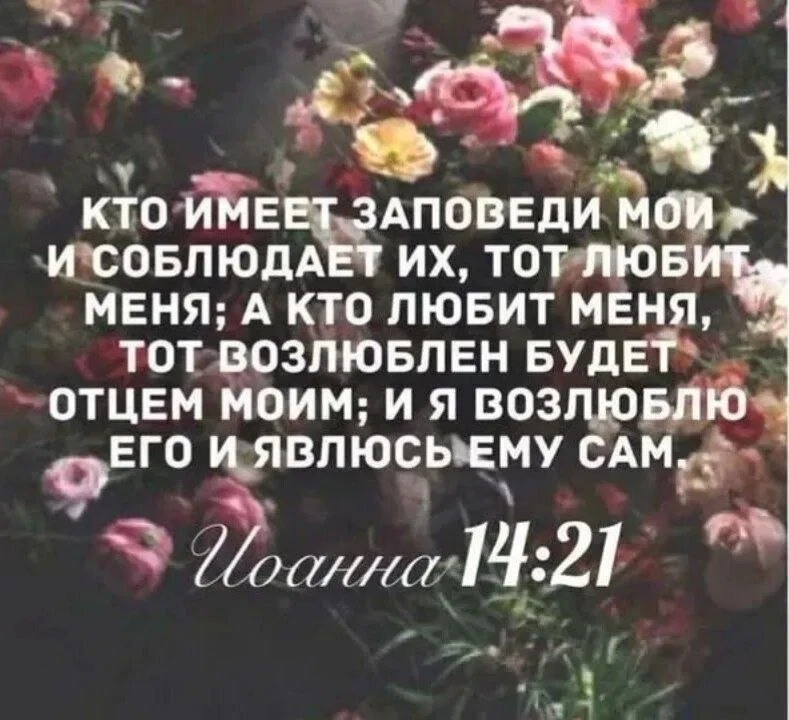 🌸🌼🌷🌸🌼🌷🌸🌼

Люби Бога и ближних и Господь умудрит.

Сперва должно приобрести любовь, которая е