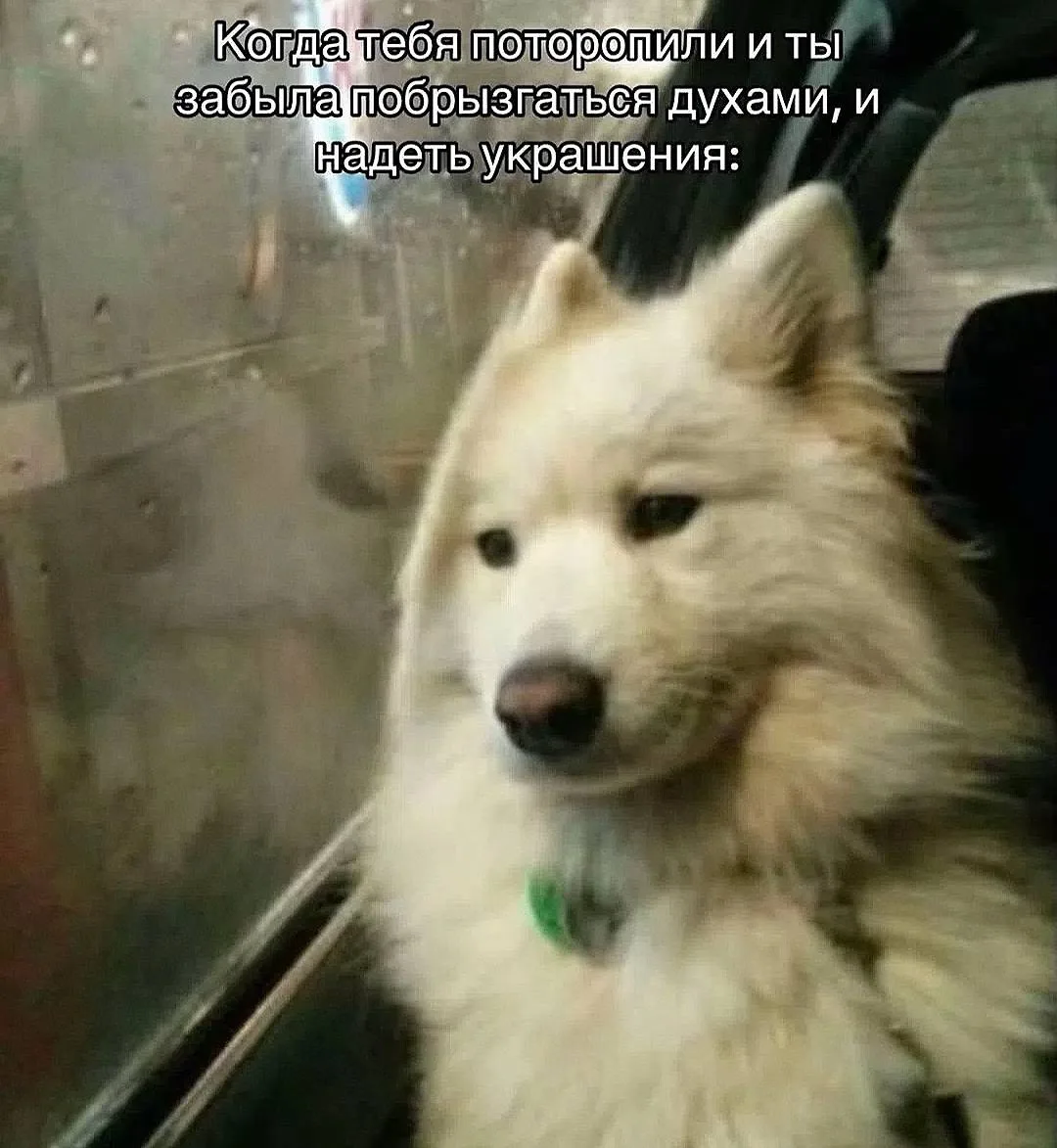 день насмарку