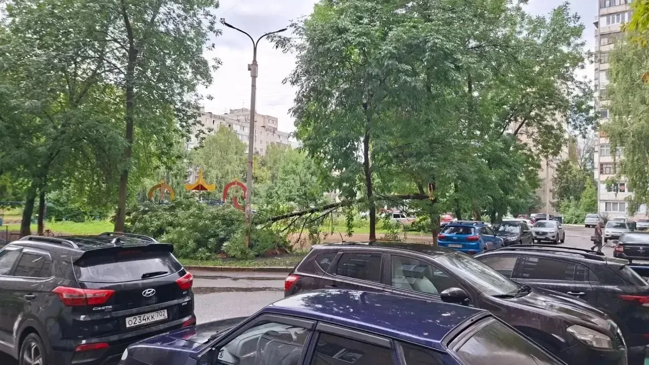 Автор: Улица Рабкоров, двор домов 9-11 упал ствол дерева на кабель прямо на детской площадке