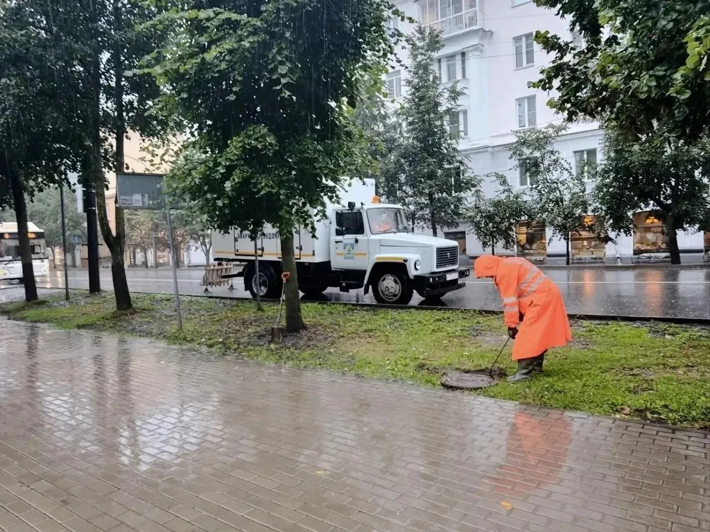 Непогода оставила без света более 9000 жителей Новгородской области
