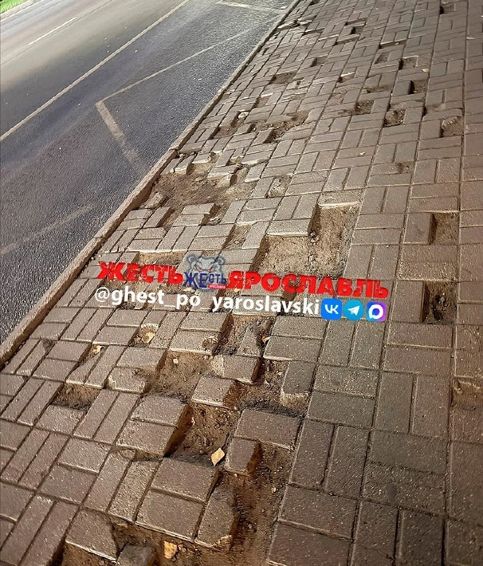 Остановка на улице Академика Колмогорова требует ремонта