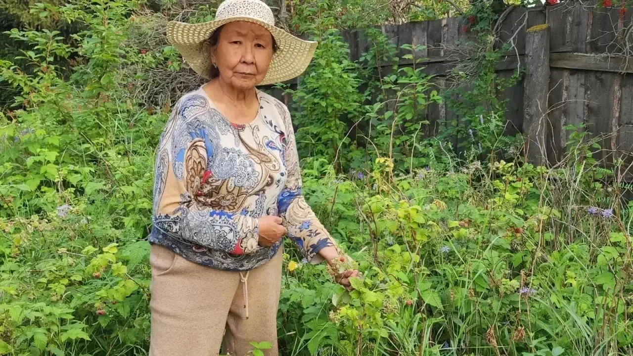 🌿☀️Лето - время щедрых даров природы. «Россыпью рубиновой сверкают капельки средь зеленых листьев я