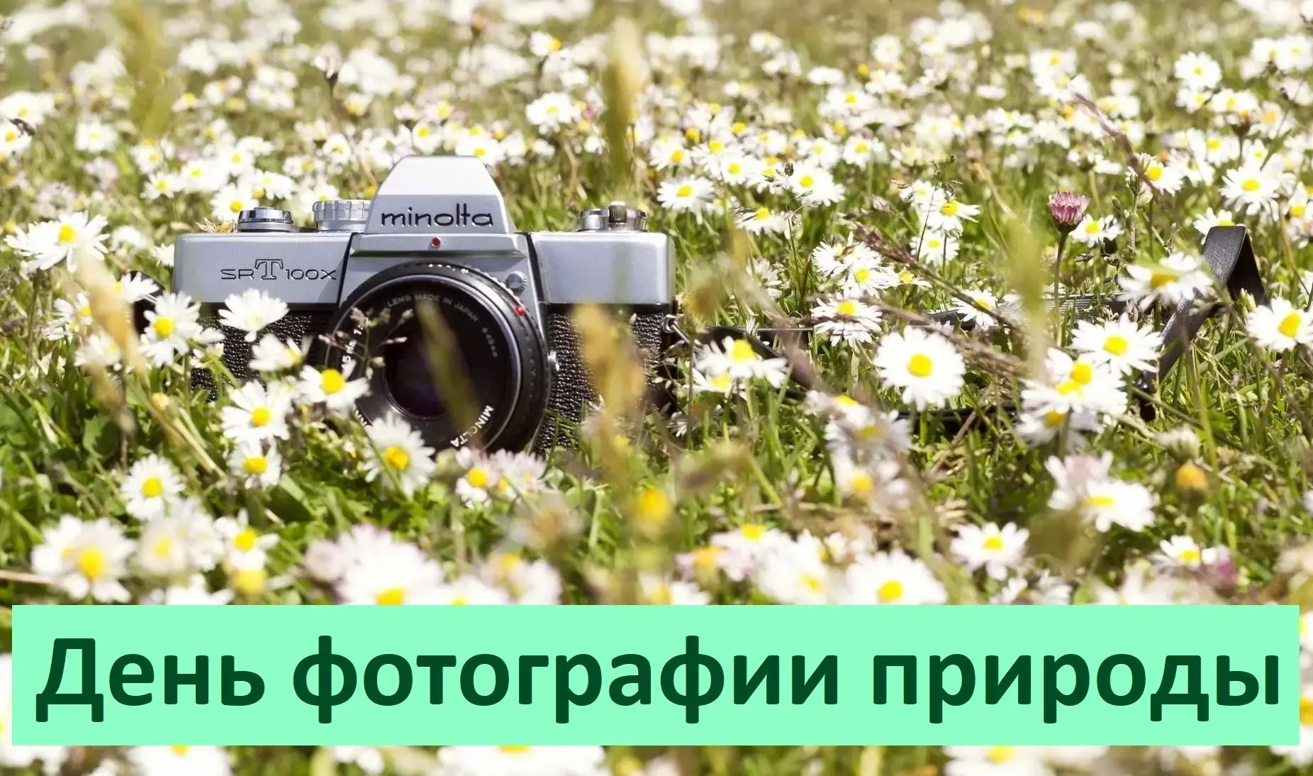 🤳🤳🤳
Сегодня очень необычный и интересный день — День фотографии природы. ☀️📸

Ребята группы №7 у