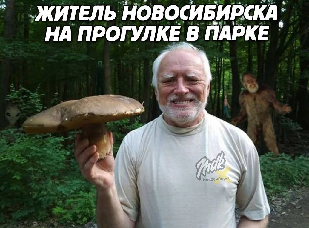 Типичный день в Кудряшовском бору