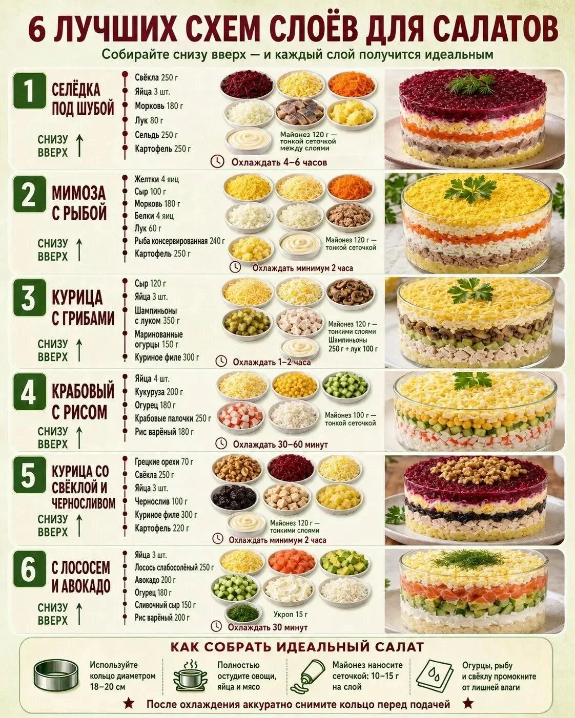 🥗 ШПАРГАЛКА ПО СЛОЯМ ДЛЯ САЛАТОВ ✨
