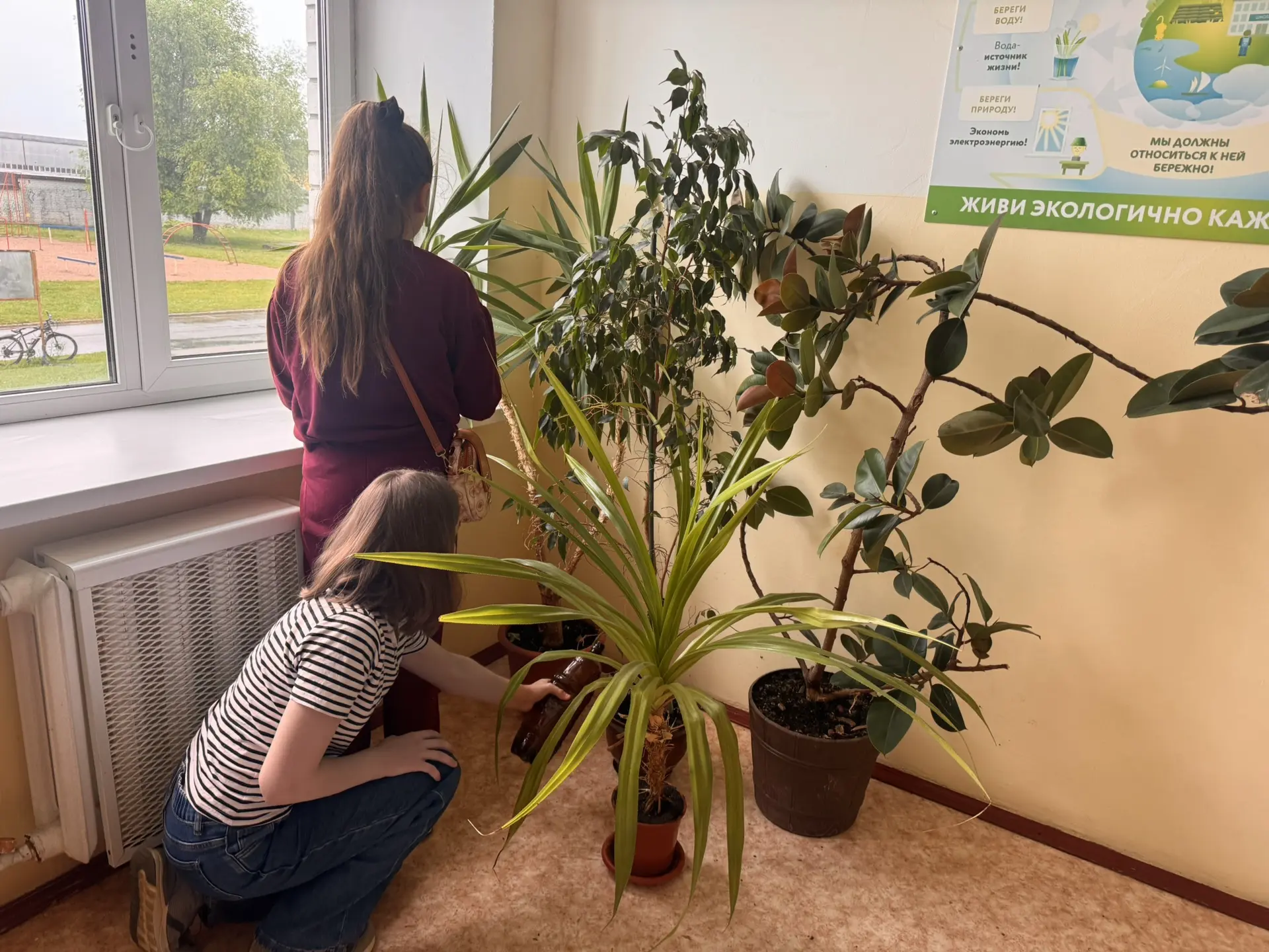 🌿 День, когда школа задышала по-новому! 🌿

22 июня ребята из лагеря труда и отдыха при МБОУ СОШ №9