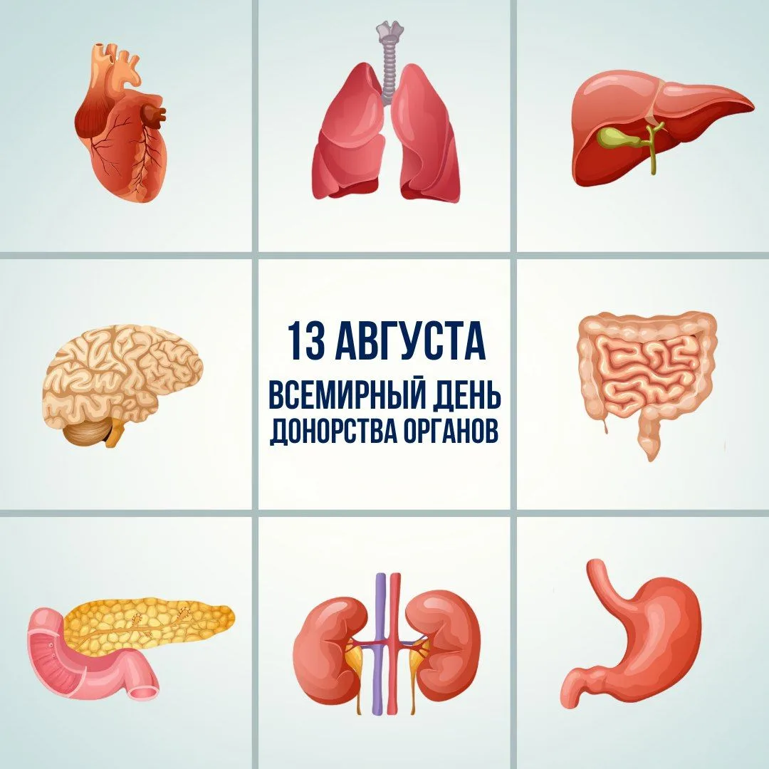 Всемирный день донорства органов: спасаем жизни вместе!