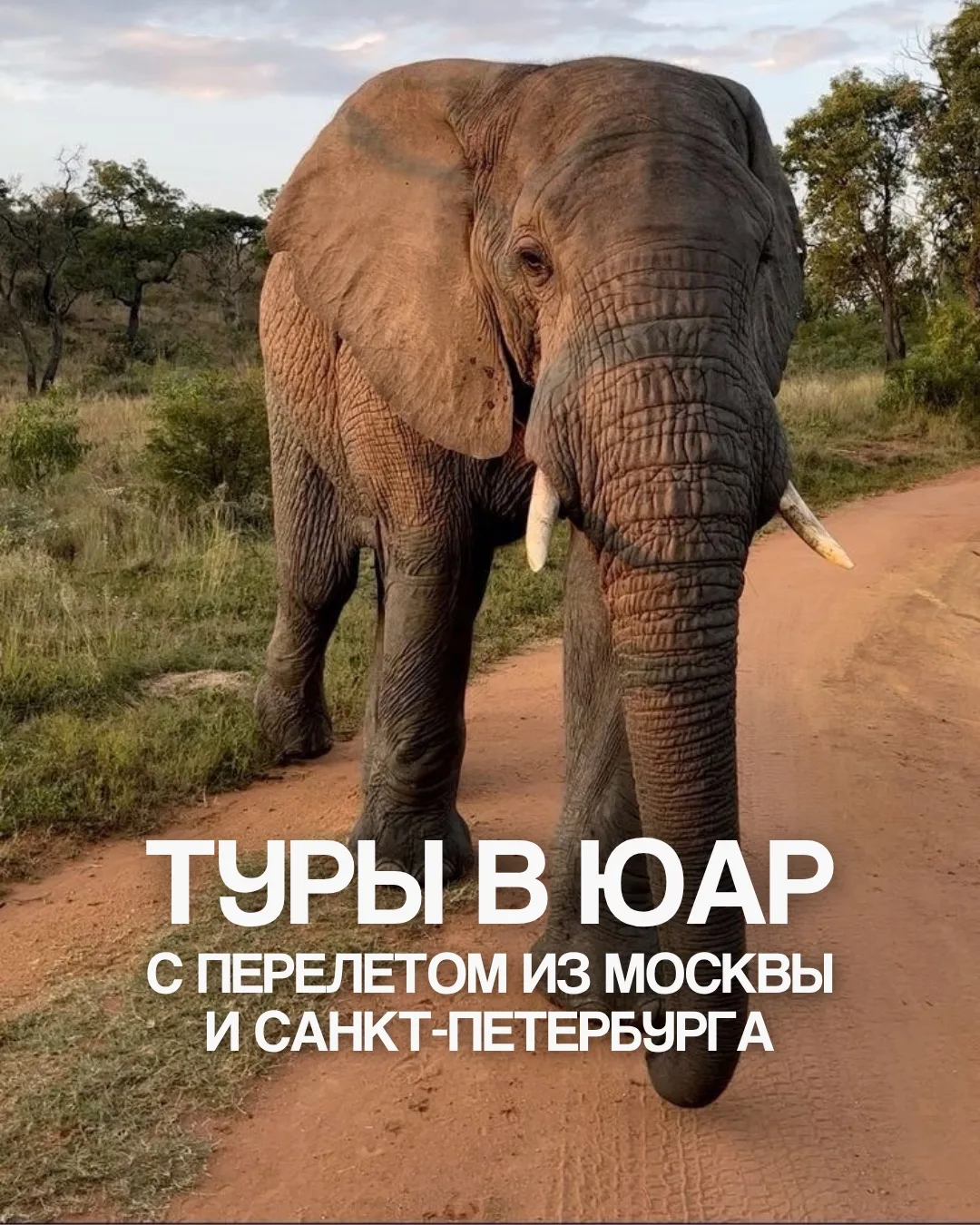 Туры в ЮАР с перелетом из Москвы и Санкт-Петербурга.