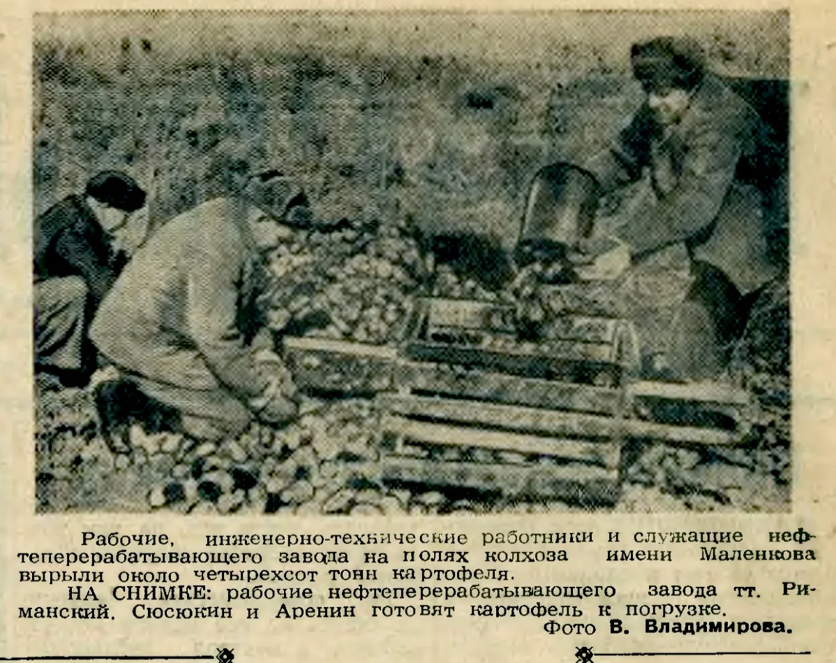 6 октября 1956 года