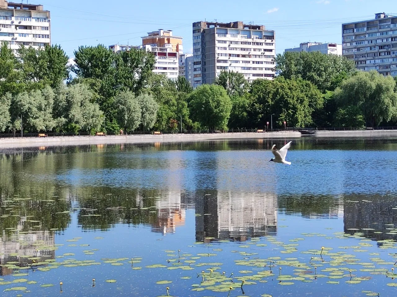 Супер-летняя обстановка на Головинских прудах) в такую погоду обычно хочется гулять чащ...