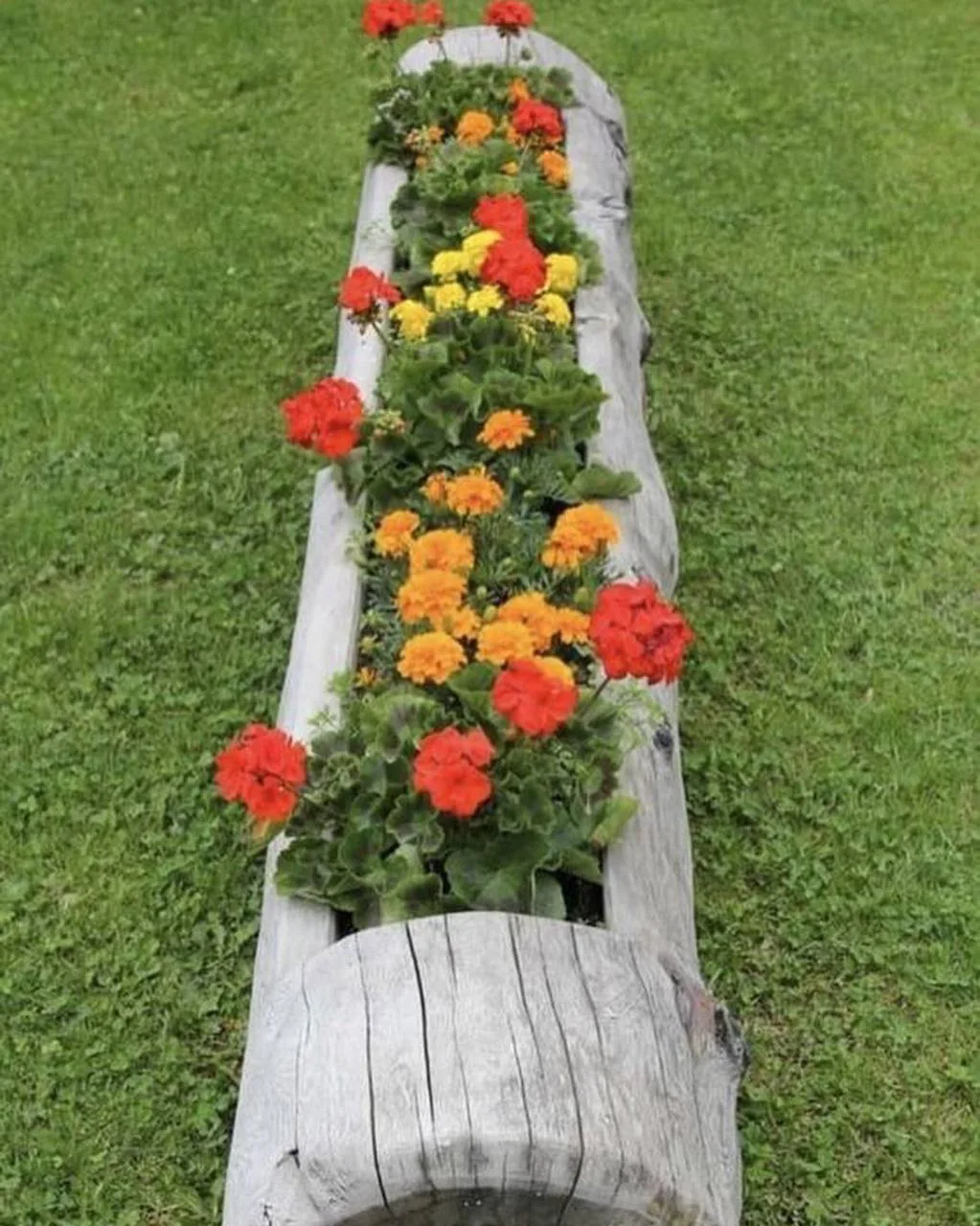 Самодельный декор для участка 👏  Что понравилось больше? 😊  🌻 Любимая дача - Подписаться!