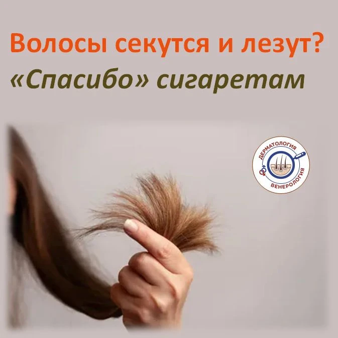 Многие думают: «Лысина — это гены или стресс». Но врачи-трихологи бьют тревогу: курение...