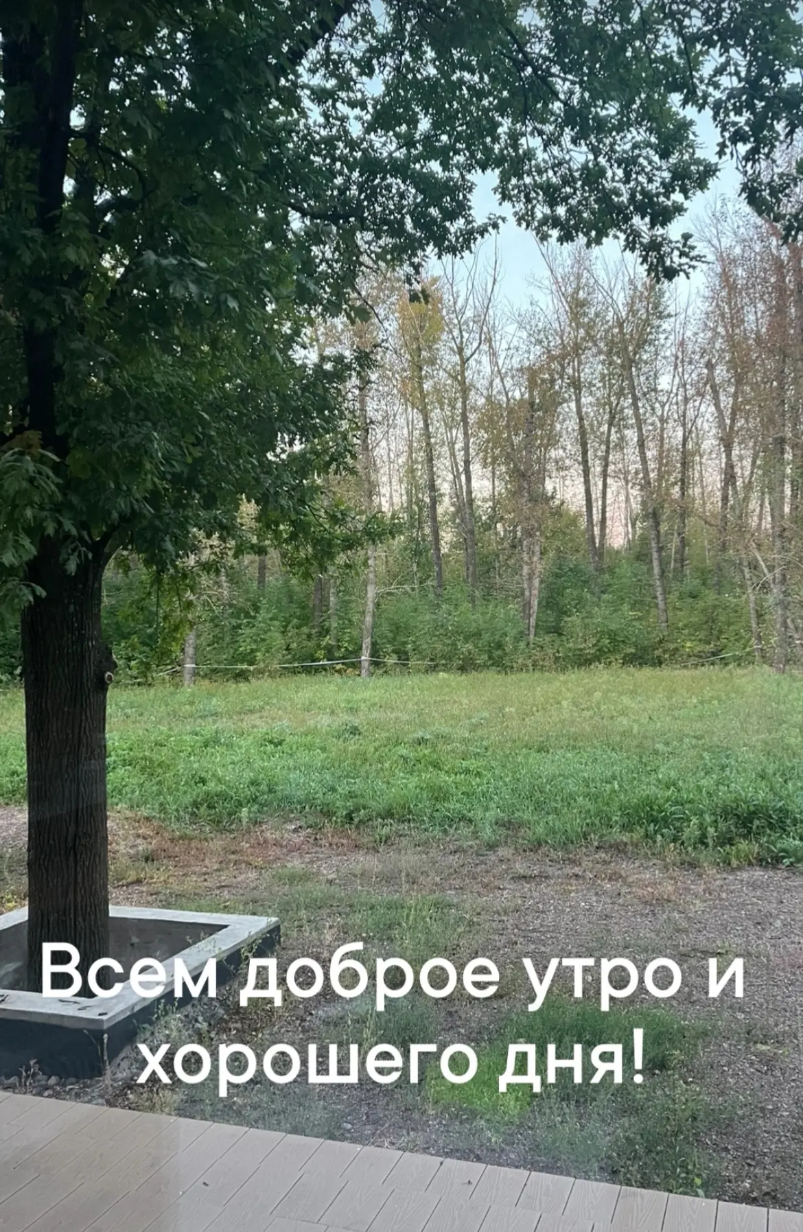 У меня в планах на сегодня тренировка, онлайн работа, работа главным врачом и дела дево...