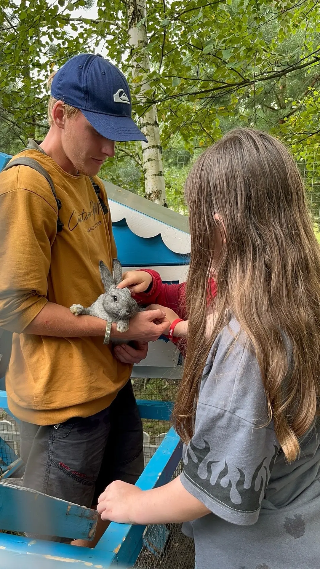 🐰 Приезжаете на «Остров приключений» с детьми? Готовьтесь к встрече с самыми милыми жи...