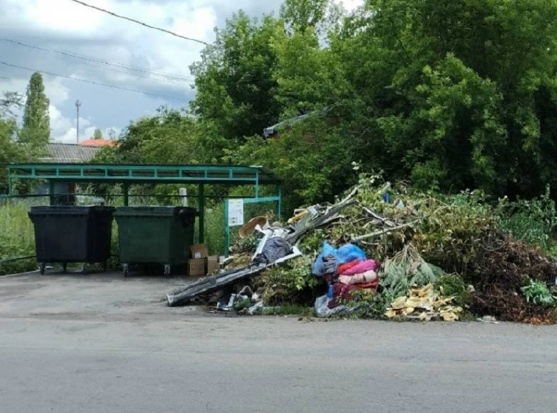 🗑 Воронежская область вошла в число самых проблемных регионов по чистоте мусорных площ...