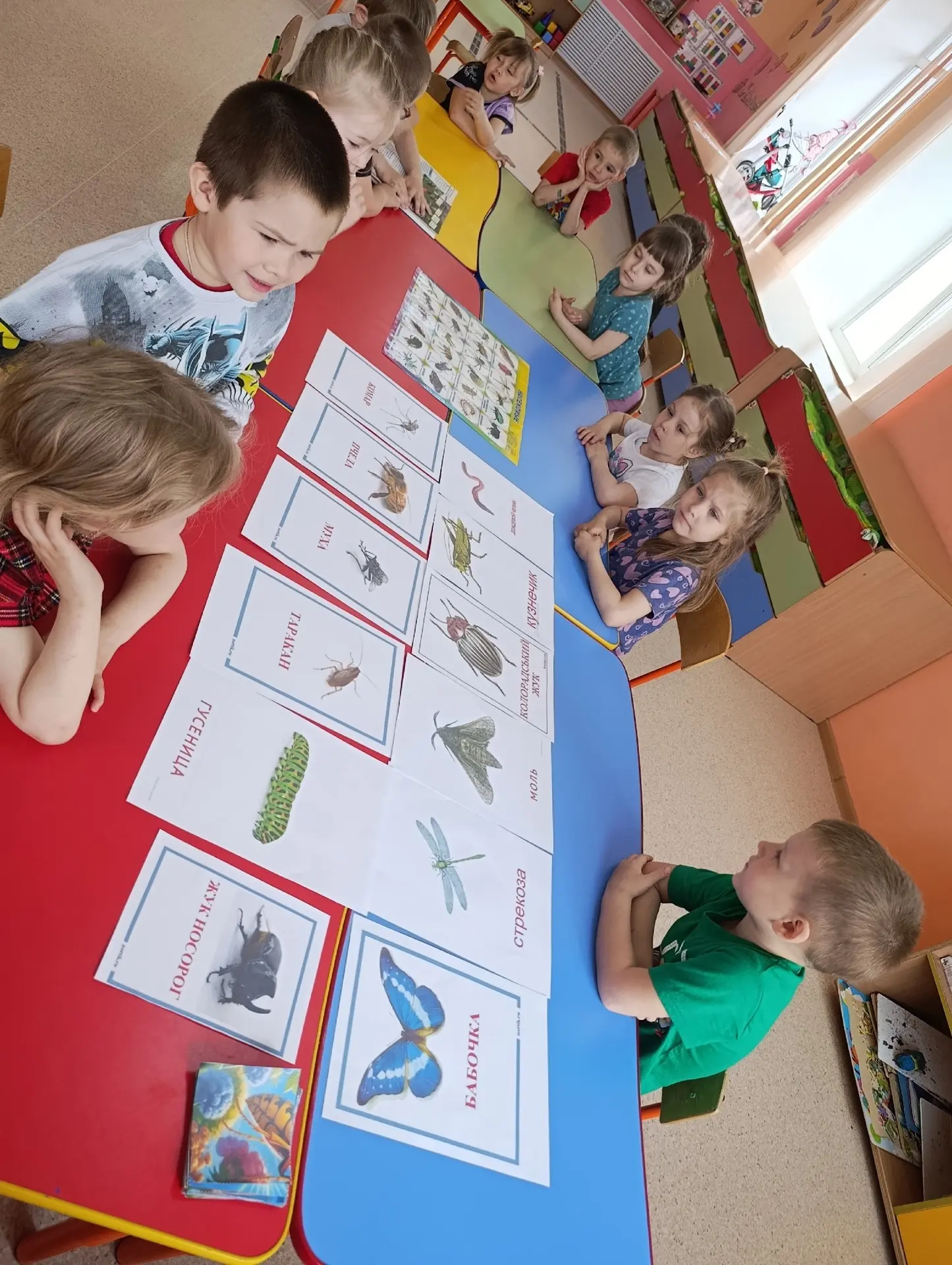 Насекомые! 🪲🦗🐜🕷️🪳🪰🐝🦋🐛🐞
Познавательные занятия и беседы. Дети узнали о их образе жизни, пит