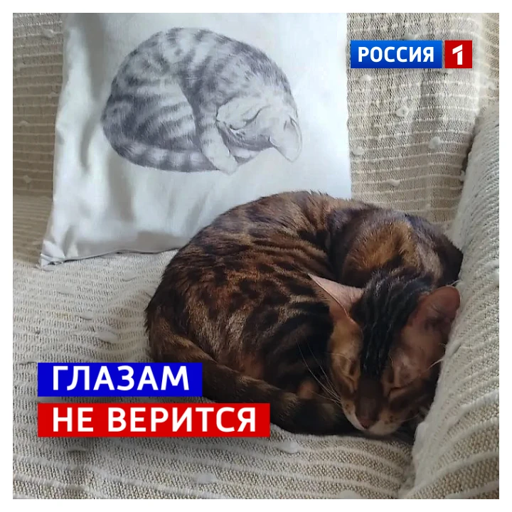 🗓️ 8 октября, четверг