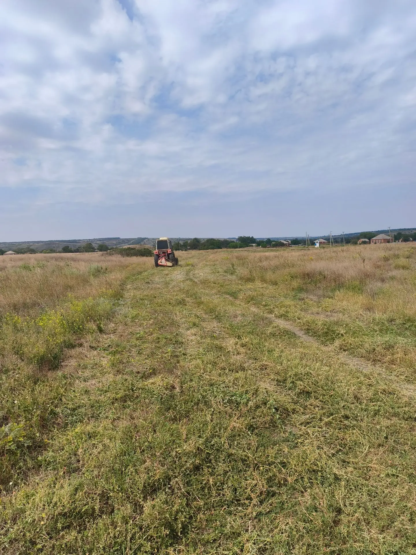 В рамках программы по благоустройству и в целях санитарного состояния территорий.