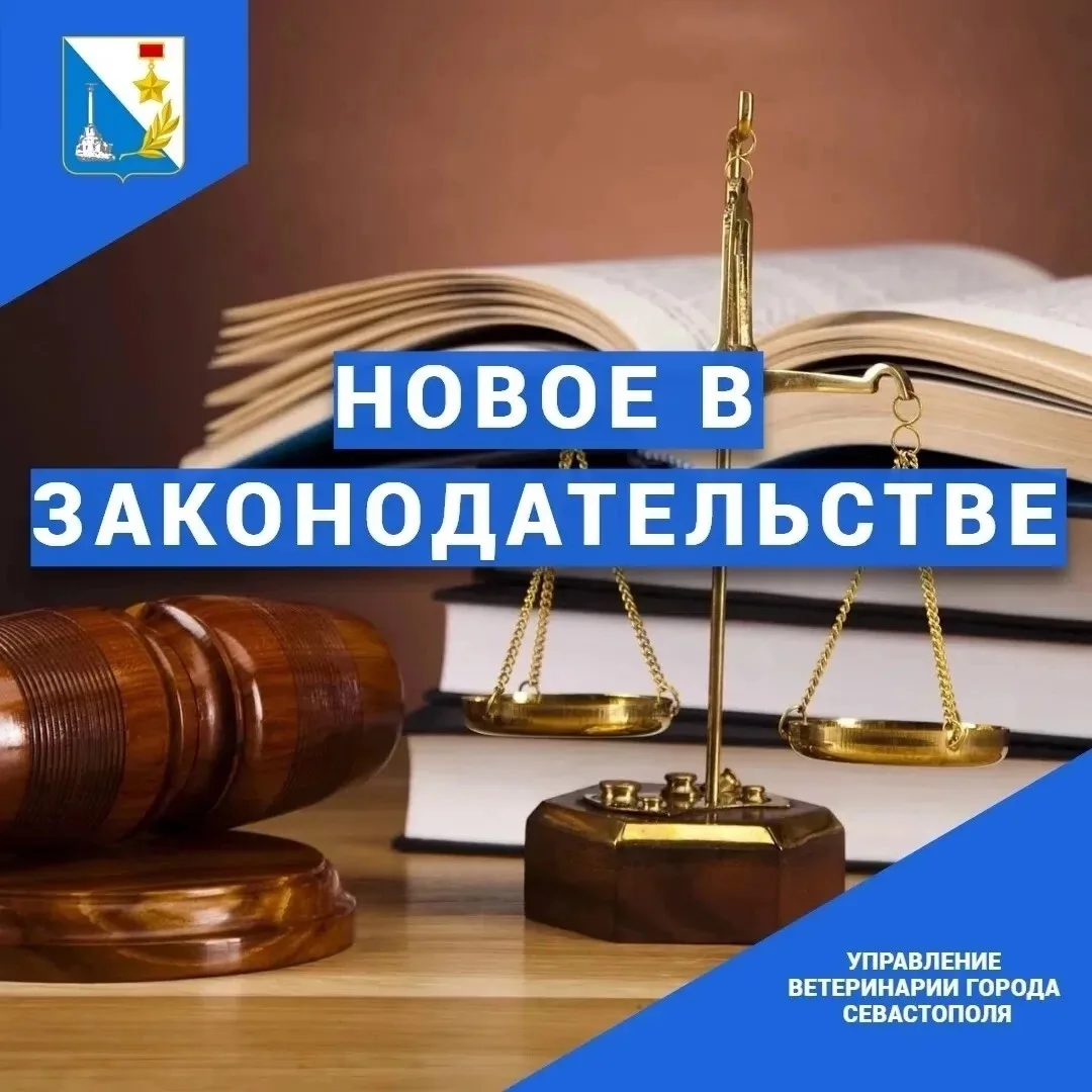 Какие ветеринарные законы вступят в силу с 1 сентября 2026 года