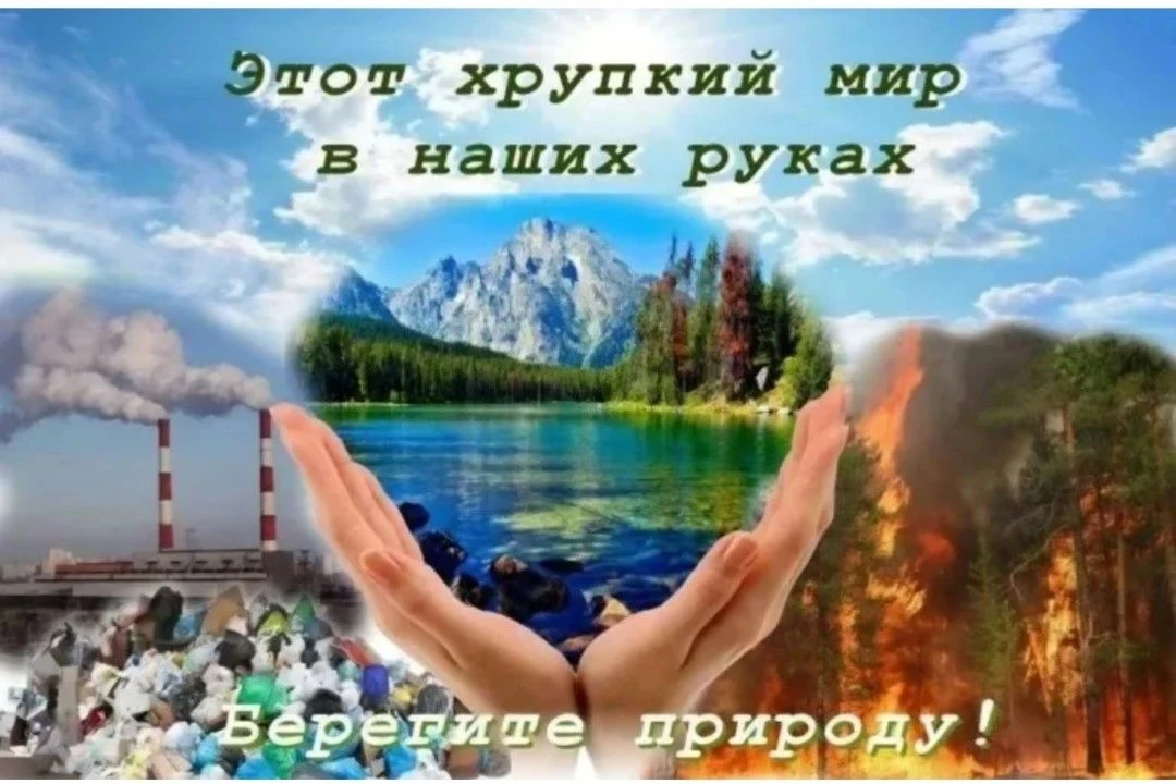 Почему важно заботиться о природе