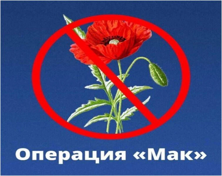 В Мотовилихинском районе начался первый этап оперативно-профилактической операции «МАК-...