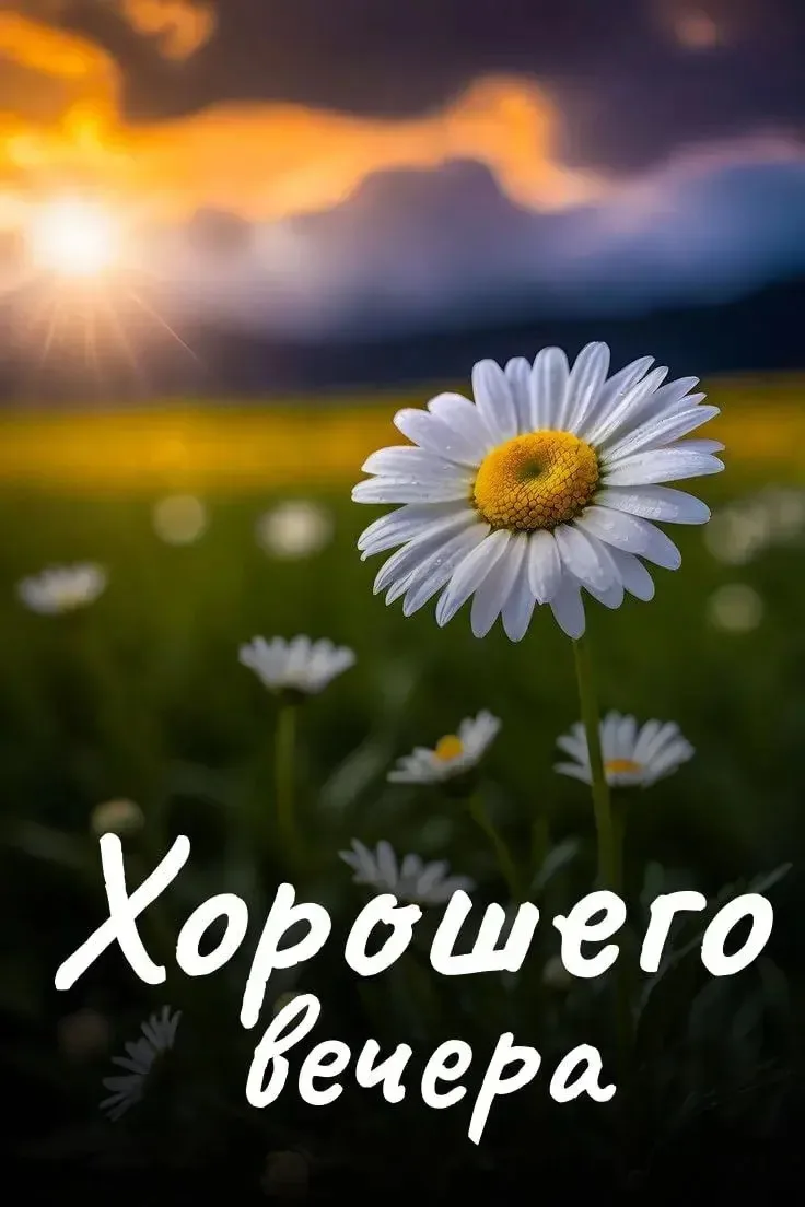 ЛУЧШИЕ ОТКРЫТКИ🙏
ПОДПИСАТЬСЯ!